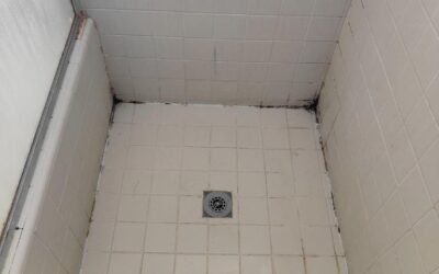 How to remove mold from Caulking in bathroom and preventing future growth