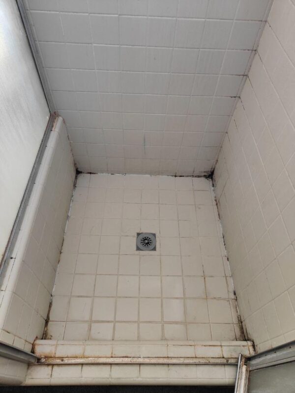 Shower with mold in corners